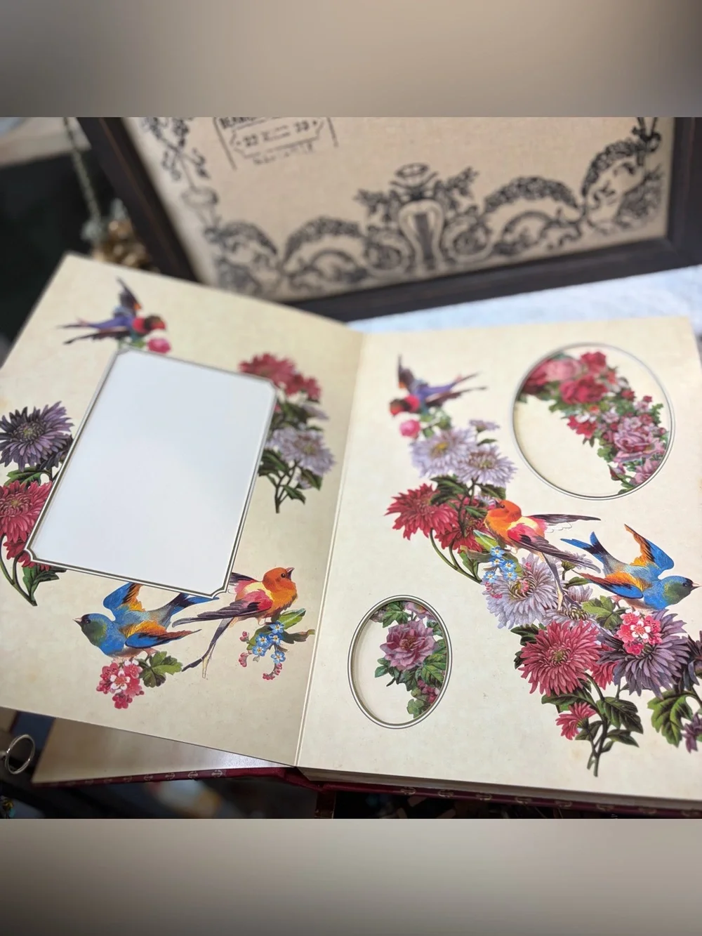 Victorian Photograph Album Robert Frederick Itd. Montague House 1995